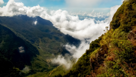 Newsletter - Open FInance on Demand - 1200x628