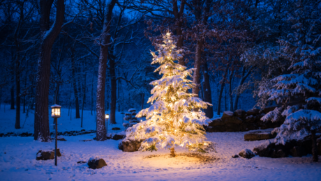 Newsletter_Nordicstreepost_1200x628